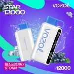 پاد یکبار مصرف وزول 12000 پاف بلوبری یخ