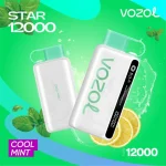 وزول 12000 پاف نعنا یخ
